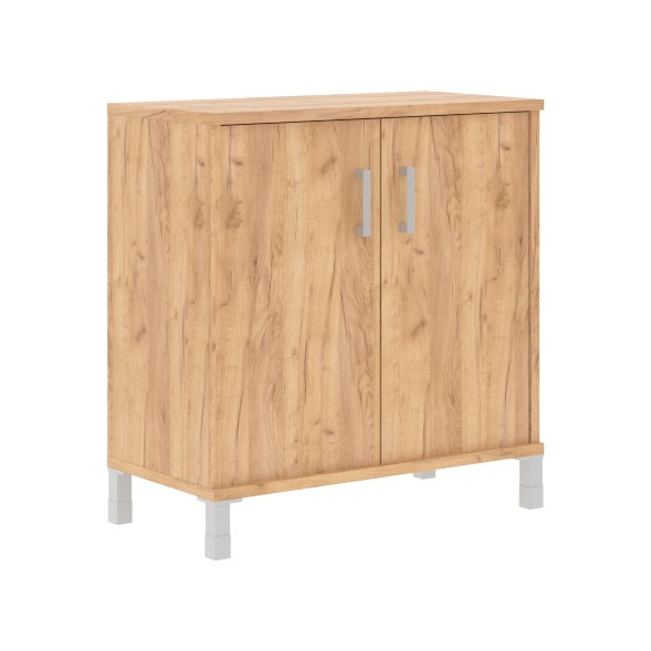 Шкаф низкий с глухими малыми дверьми B 410.2 900х450х920 BORN